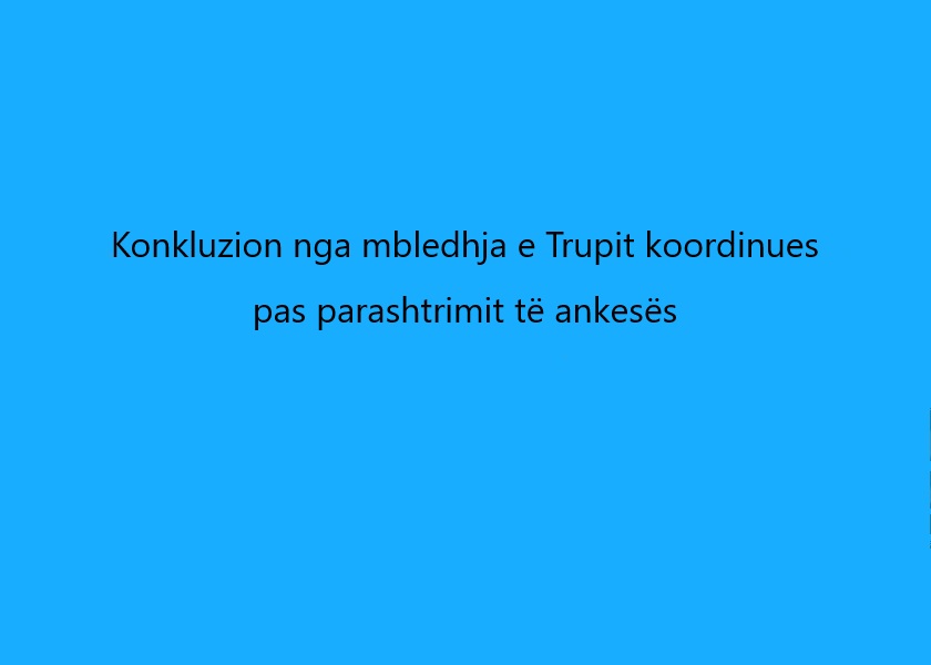Konkluzioni i Trupit Koordinues pas parashtrese nga portali Apla.mk për person fizik